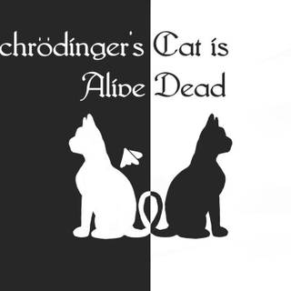 Schrödinger's cat wallpaper
