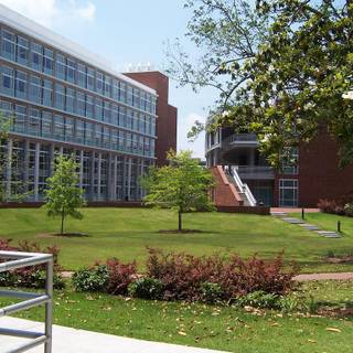 East Carolina University wallpaper