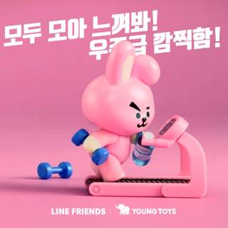 Cooky BTS wallpaper