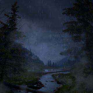 Rain in forest wallpaper