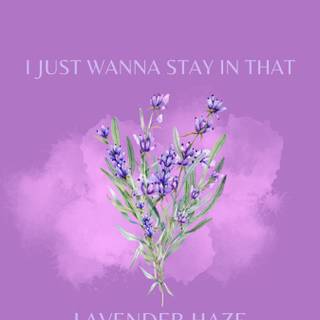 Taylor Swift Lavender Haze wallpaper