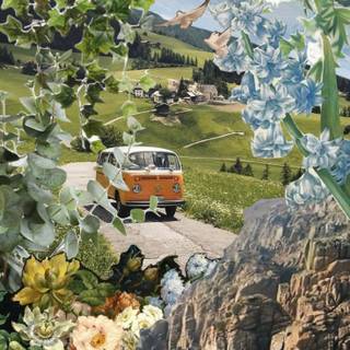 Greenboard wallpaper