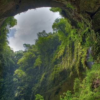Rain in forest wallpaper