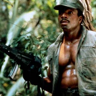 Carl Weathers wallpaper