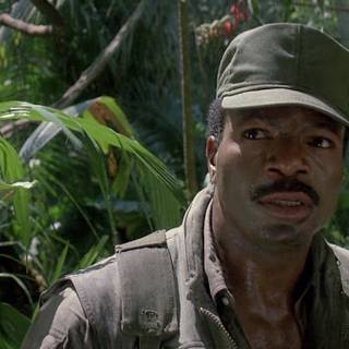 Carl Weathers wallpaper