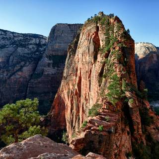 Angels Landing wallpaper