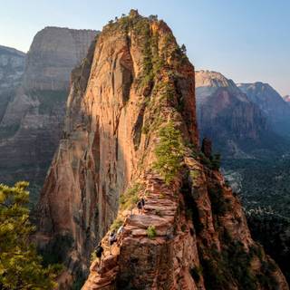 Angels Landing wallpaper