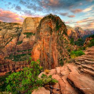 Angels Landing wallpaper