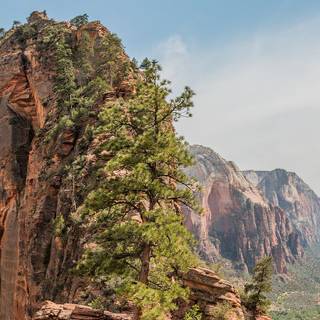 Angels Landing wallpaper