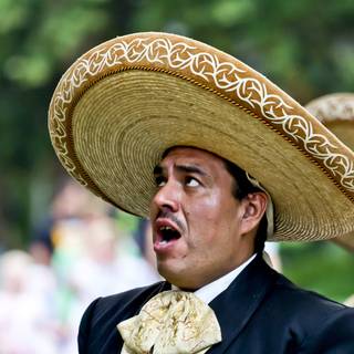 Mexican hat wallpaper