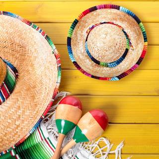 Mexican hat wallpaper