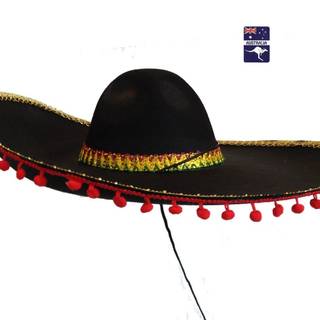 Mexican hat wallpaper