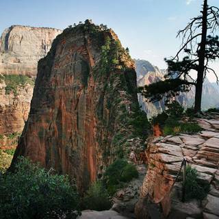 Angels Landing wallpaper