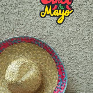 Mexican hat wallpaper