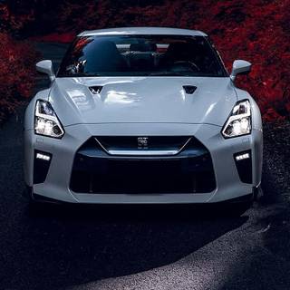 GTR white wallpaper