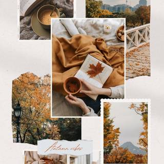 Aesthetic beige collage wallpaper