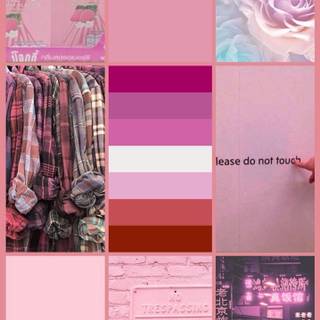 Pastel pink collage wallpaper