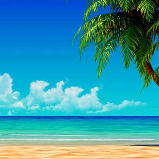 Best iPhone X 4k wallpaper