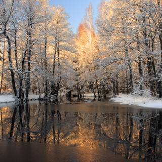 Nature HD winter wallpaper