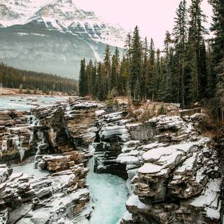 Nature HD winter wallpaper