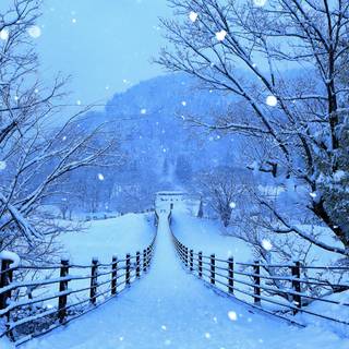 Nature HD winter wallpaper