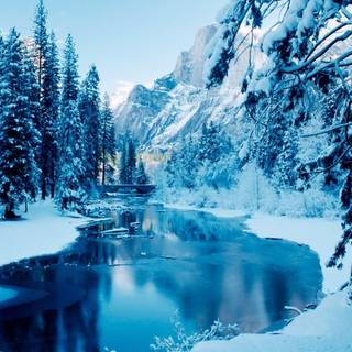 Nature HD winter wallpaper