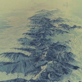 Green winter 4k wallpaper