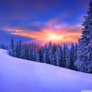 Nature HD winter wallpaper