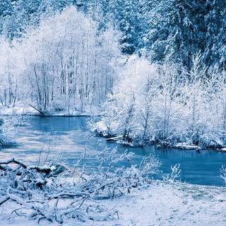 Nature HD winter wallpaper