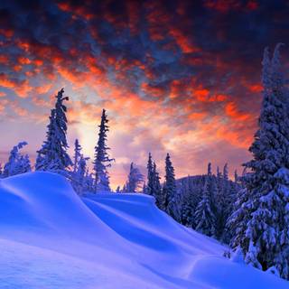 Nature HD winter wallpaper