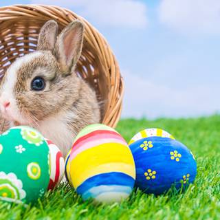 1366x768 Easter wallpaper