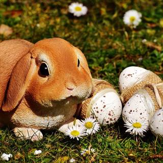 1366x768 Easter wallpaper