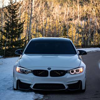 Winter cars iPhone wallpaper