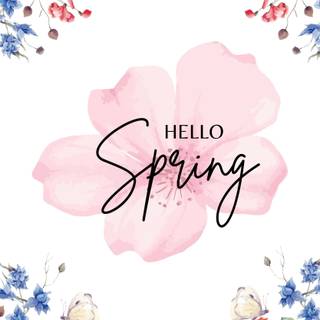Hello spring cartoon wallpaper