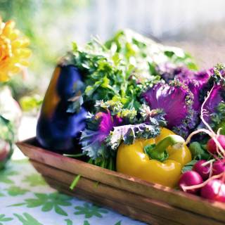 4k organic wallpaper