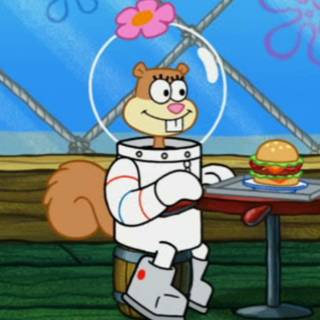 The Sandy Cheeks movie wallpaper