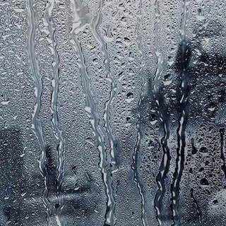 Rain 4k phone wallpaper