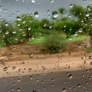 Rain 4k phone wallpaper