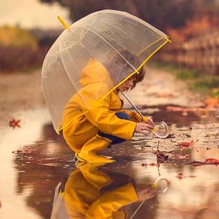 Rain 4k phone wallpaper