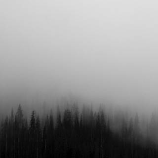 Grey 4k desktop wallpaper