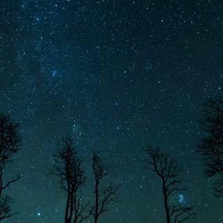 4k night sky mobile wallpaper