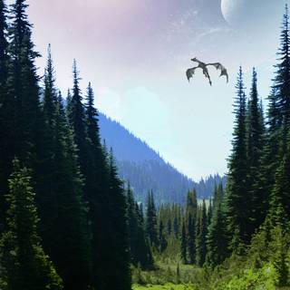 Phone Skyrim wallpaper