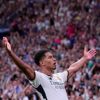 Bellingham phone wallpaper