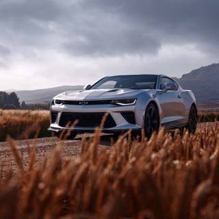 Chevy Camaro 4k wallpaper