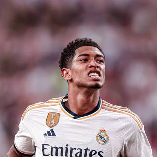 Bellingham phone wallpaper