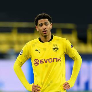 Bellingham phone wallpaper