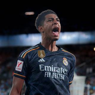 Bellingham phone wallpaper