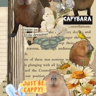 Capybara iPhone wallpaper