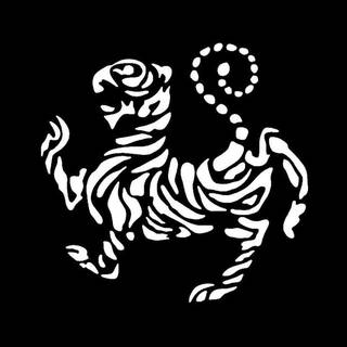 Martial arts iPhone wallpaper