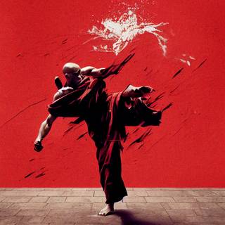 Martial arts iPhone wallpaper